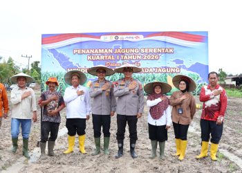 Polda Kaltara Tanam Jagung Serentak di 6 Wilayah, Capai Luas 9,55 Ha di Kuartal I 2026